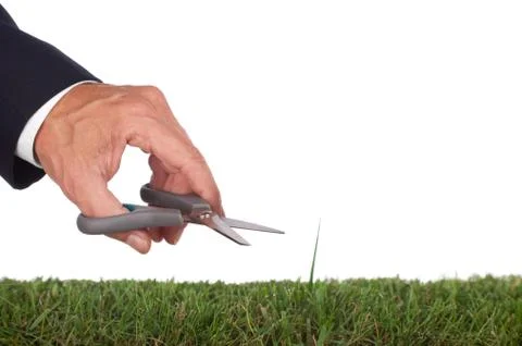 Perfection Stock Photos