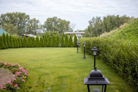 Perfectly cut backyard grass Stock Photos