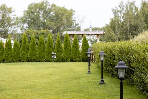 Perfectly cut backyard grass Foto stock