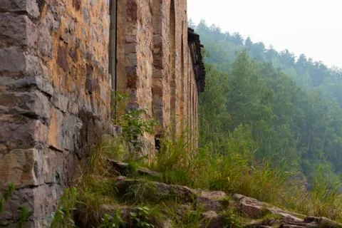 Perfectly flat wall of masonry on the forest background Foto stock