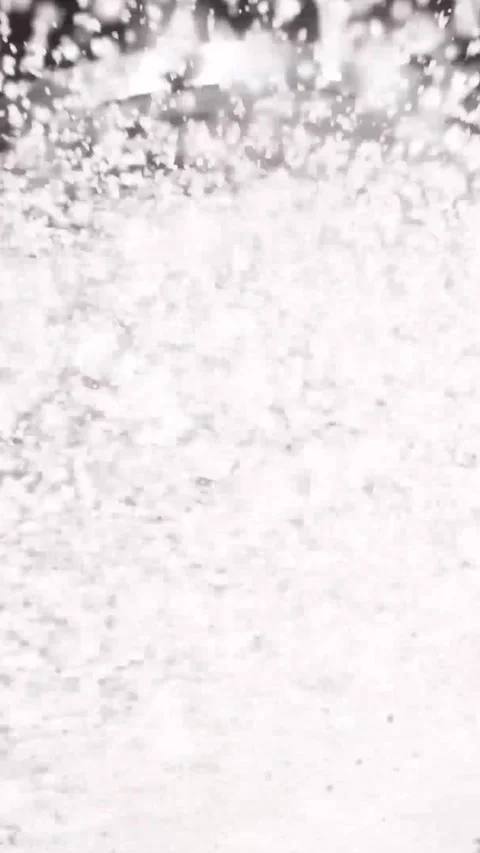 Perfectly sifting sugar to create a smooth texture for baking in the kitchen Video stock 320751436