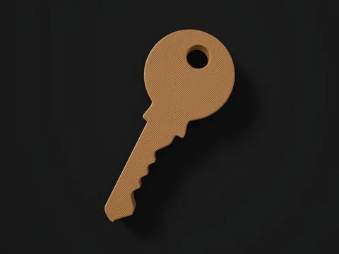 Perforated leather key symbol Stock Illustration