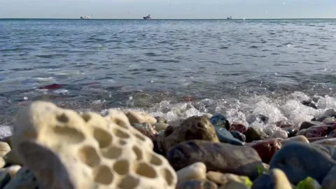 Perforated sea stone close-up Stock Footage 240381075