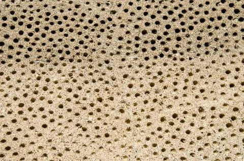 Perforations in the concrete wall of the old temple. unusual surface texture  Stock Photos