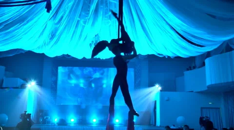 Performance aerialists Stock Footage 50581807