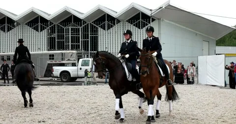 Performance of Cavalry regiment Stock Footage 66794301