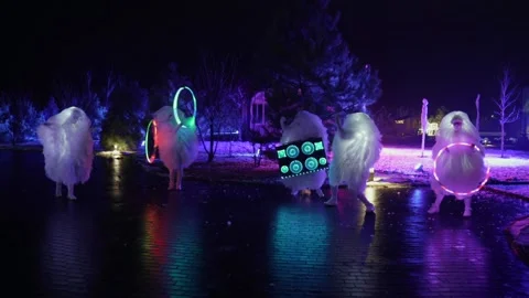 Performance of a costumed snowflakes Stock Footage 172449124