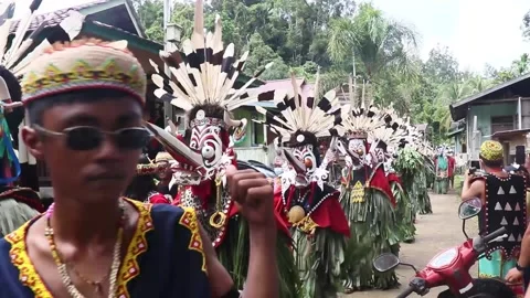 Performance of the Dayak Bahau Hodoq dance performance. Stock Footage 219483667