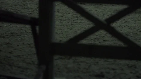 Performance of horses Stock Footage 85761308