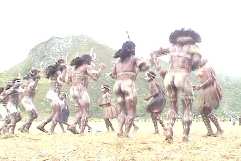 Performance in Jamaica 03 Stock Footage 356830