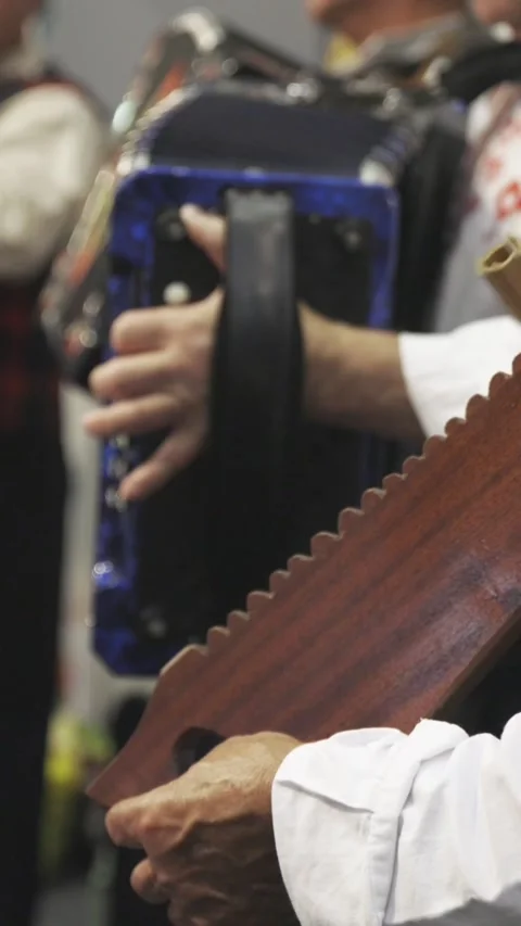 Performance of men in folk clothes playing folk instruments Stock Footage 328420762