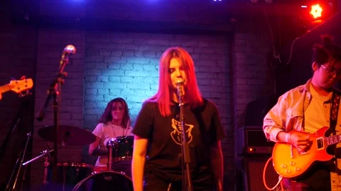 Performance of a musical group Stock Footage 146143252