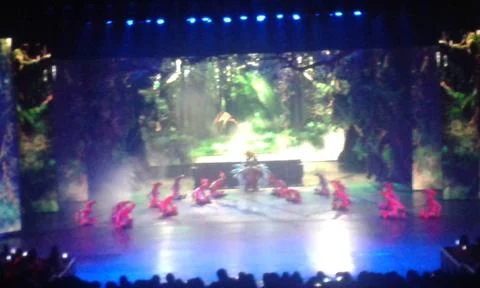 Performance on stage Foto stock