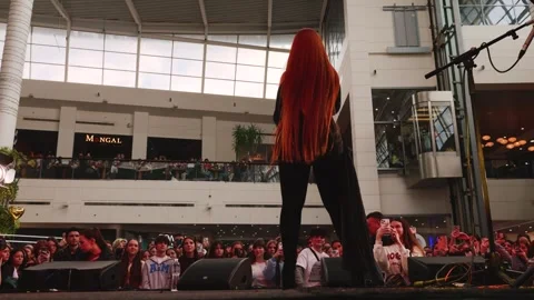 The performance is for Valentine's Day. There is a crowd of young fans. Stock-Footage 329141661