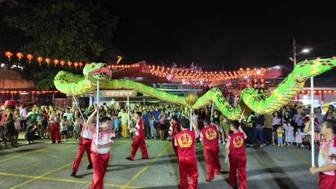 Performers captivate the crowd with snake like dance movements at Snake Temple. Stock Footage 318102417