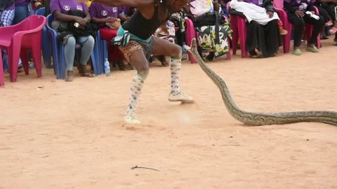 Performing arts Stock Footage 306871491