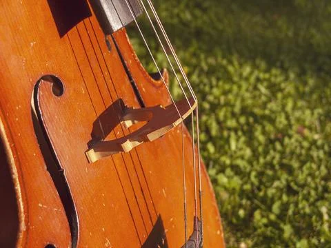 Performing cello outdoor 写真素材