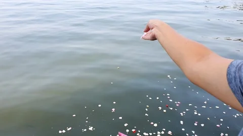 Performing a seaside ritual with scattering flowers at sea. prayers for deceased 스톡 동영상 288264893