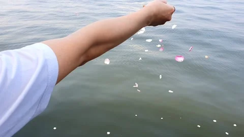 Performing a seaside ritual with scattering flowers at sea. prayers for deceased Video stock 288268693