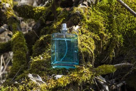 Perfume and moss Stock Photos