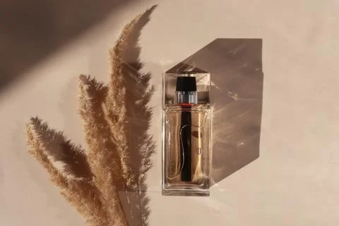 Perfume bottle on a beige background Stock Photos