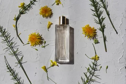 Perfume bottle for mock up Foto stock