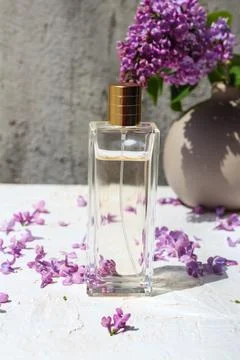 Perfume bottle for mock up Stock Photos