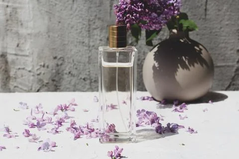 Perfume bottle for mock up Stock Photos