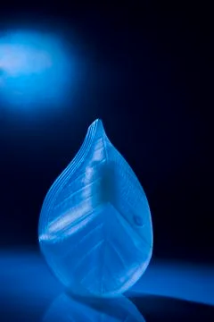 Perfume bottle Stock Photos