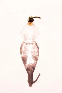 Perfume bottle Фото