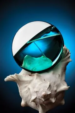 Perfume bottle on shell Stock Photos