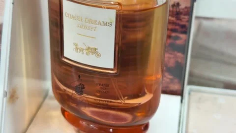 Perfume Coach Dreams Sunset Vidéo 336114654