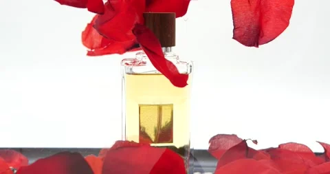 Perfume cologne bottle in water with red petals swirling isolated on white Stock Footage 219443580