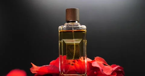 Perfume cologne with red rose petals falling isolated on black Time for Love Vidéo 208533833