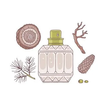 Perfume glass bottle, pine cone, fir wood and spruce branch vector flat icons Stockillustratie