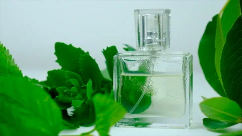 Perfume with herbal extracts. Selective focus. Stock-Footage 198525387