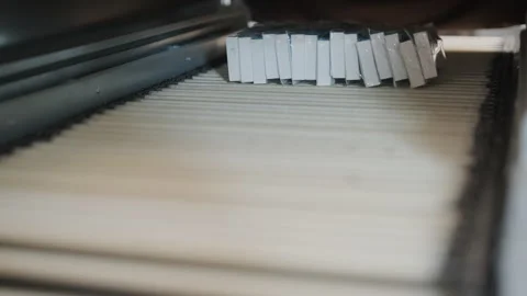 Perfume Manufacturing Process in Modern Factory Stock-Footage 320432776