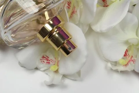 Perfume Stock Photos