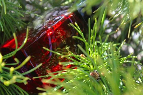 Perfume Stock Photos