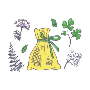 Perfume sachet or small bag, fennel dill, parsley cilantro plant leaves vec.. Illustration