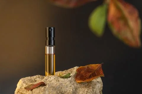 Perfume sample standing on a stone with apple leaves. Autumn perfumery concept Stock Photos