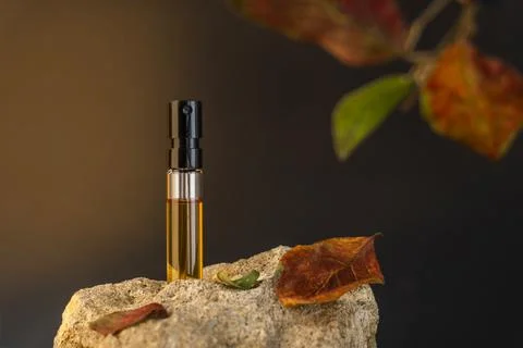 Perfume sample standing on a stone with apple leaves. Autumn perfumery concept Stock Photos