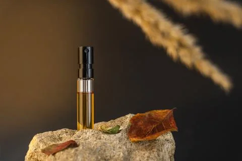 Perfume sample standing on a stone with apple leaves and pampas grass. Autumn Stock Photos