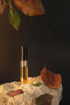 Perfume sample standing on a stone with apple leaves. Autumn perfumery concept Stock Photos