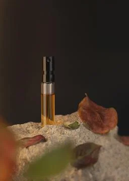 Perfume sample standing on a stone with apple leaves. Autumn perfumery concept Stock Photos