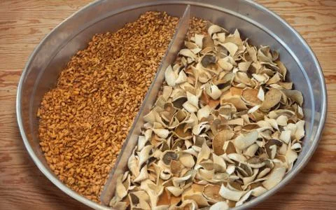 Perfumery raw materials. Stock Photos