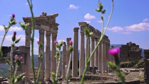 Pergamon museum in spring, Bergama, Turkey Stock Footage 90892588