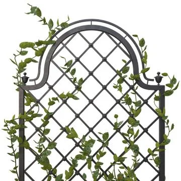 Pergola with flowers Stock Illustration
