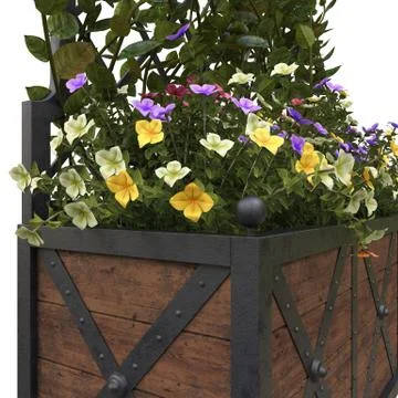 Pergola with flowers Stock Illustration