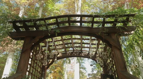 A Pergola in the Woods Stock Footage 47680862